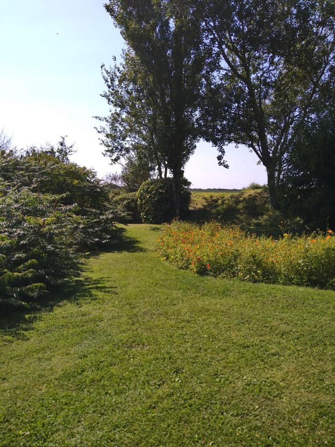 Ouddorp Vakantiehuisje Exteriör bild