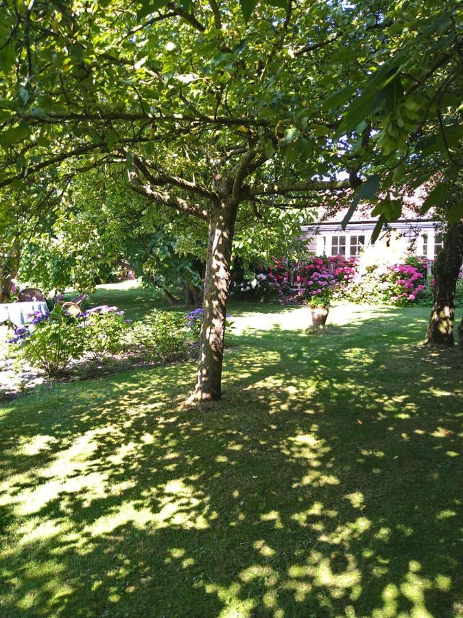 Ouddorp Vakantiehuisje Exteriör bild