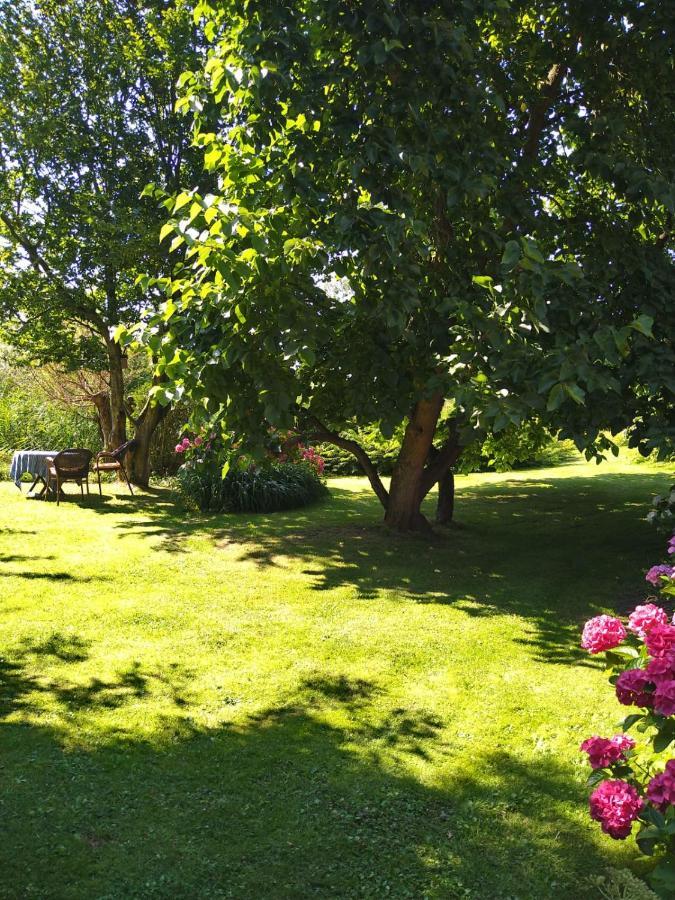 Ouddorp Vakantiehuisje Exteriör bild