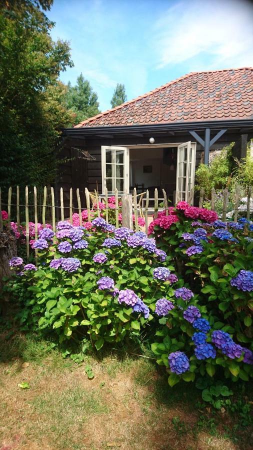 Ouddorp Vakantiehuisje Exteriör bild