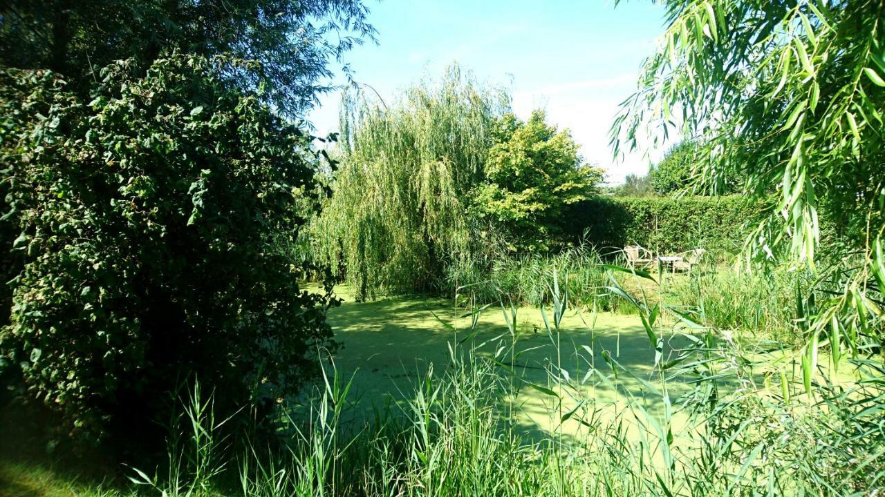 Ouddorp Vakantiehuisje Exteriör bild